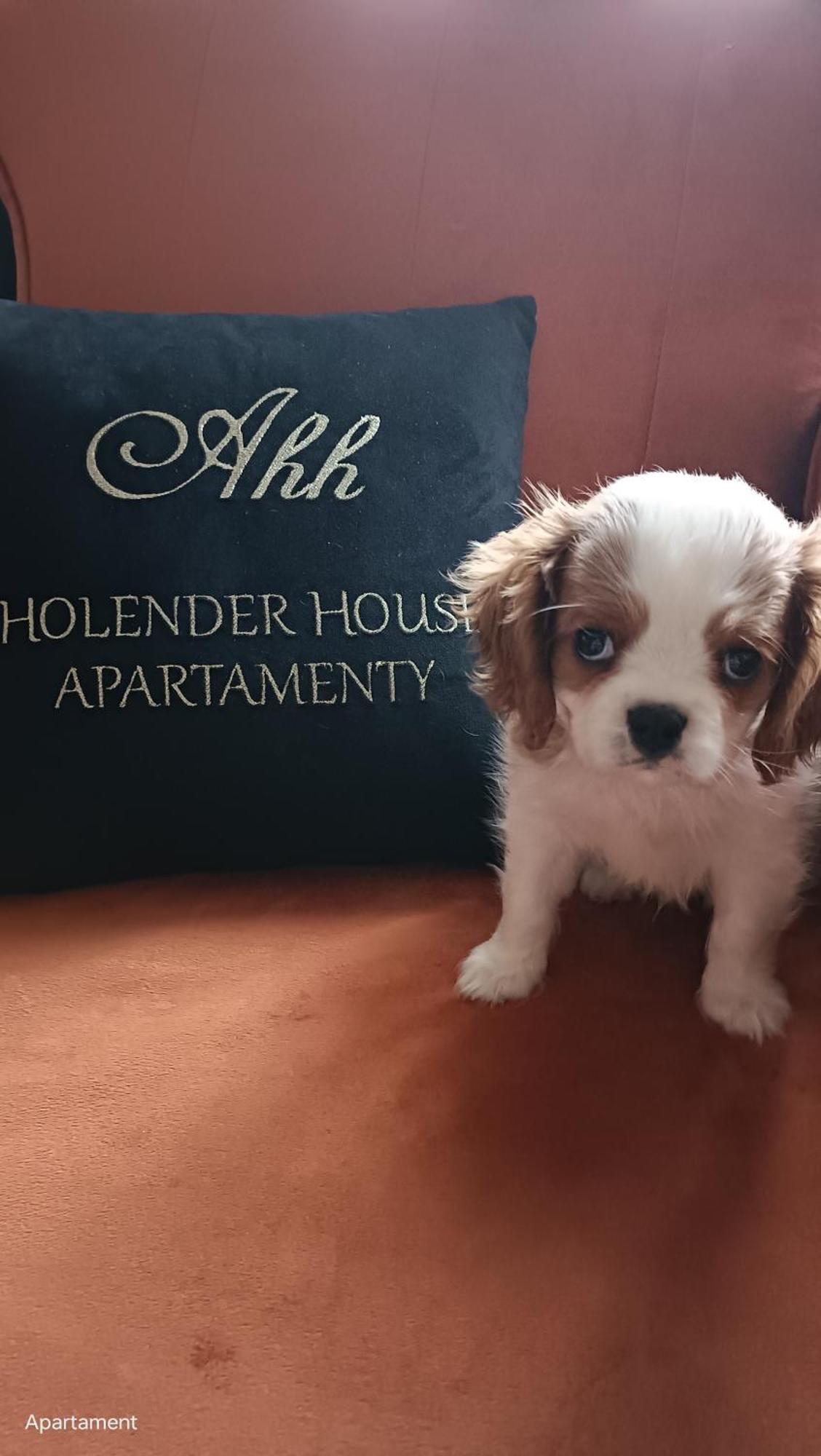 Apartamenty Holender House Choczewo Exteriér fotografie